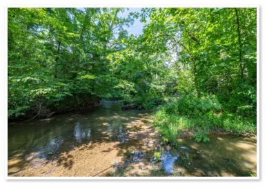The creek that runs through our campground